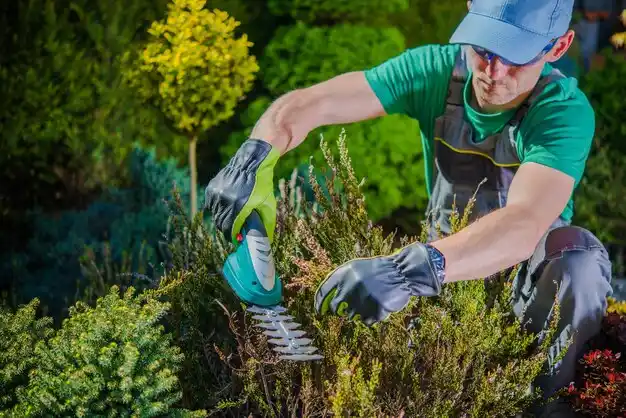 landscaping services Milan